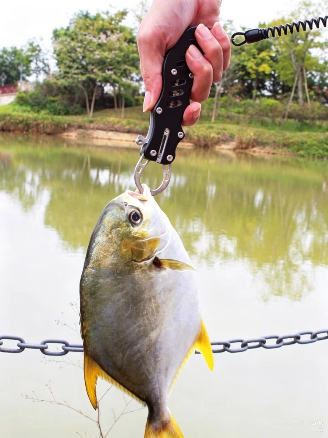 Gunting Baja Tahan Karat Multi - Fishing Line Cutter ulasan dan harga